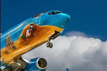 Uzun Uçuşları Keyfe Dönüştürün: Konforlu Bir Yolculuk İçin 10 Altın Öneri